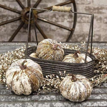5/Set, Timberland Pumpkins - The Fox Decor